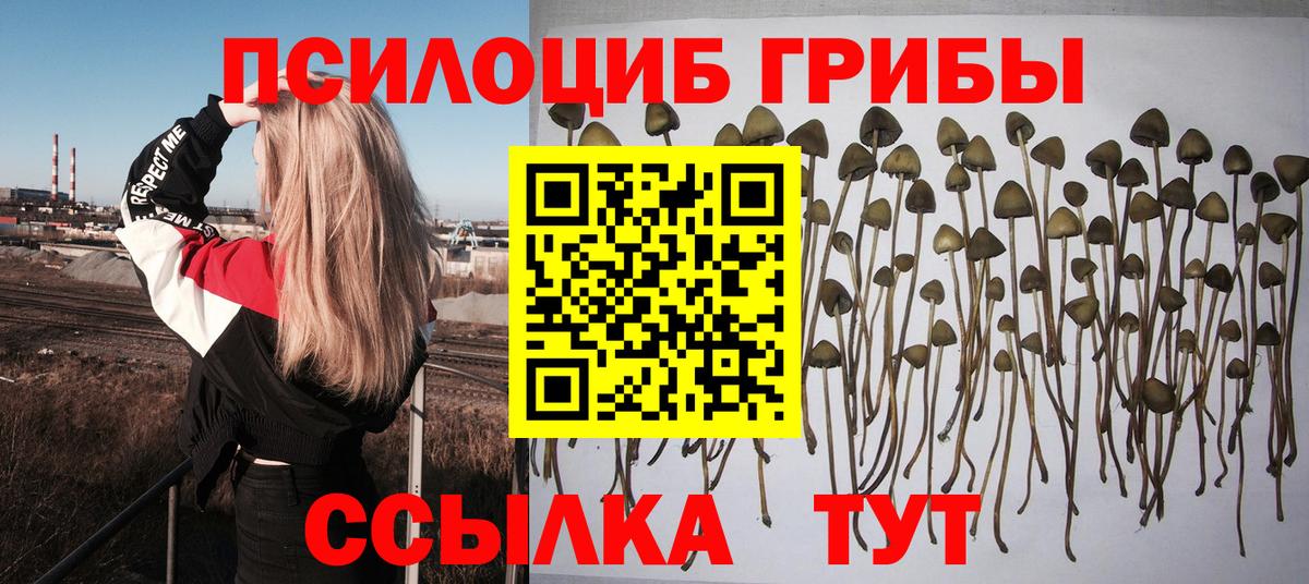 Сочи  Галлюциногенные грибы мухоморы  Галлюциногенные грибы Psilocybe  Вход с VPN 